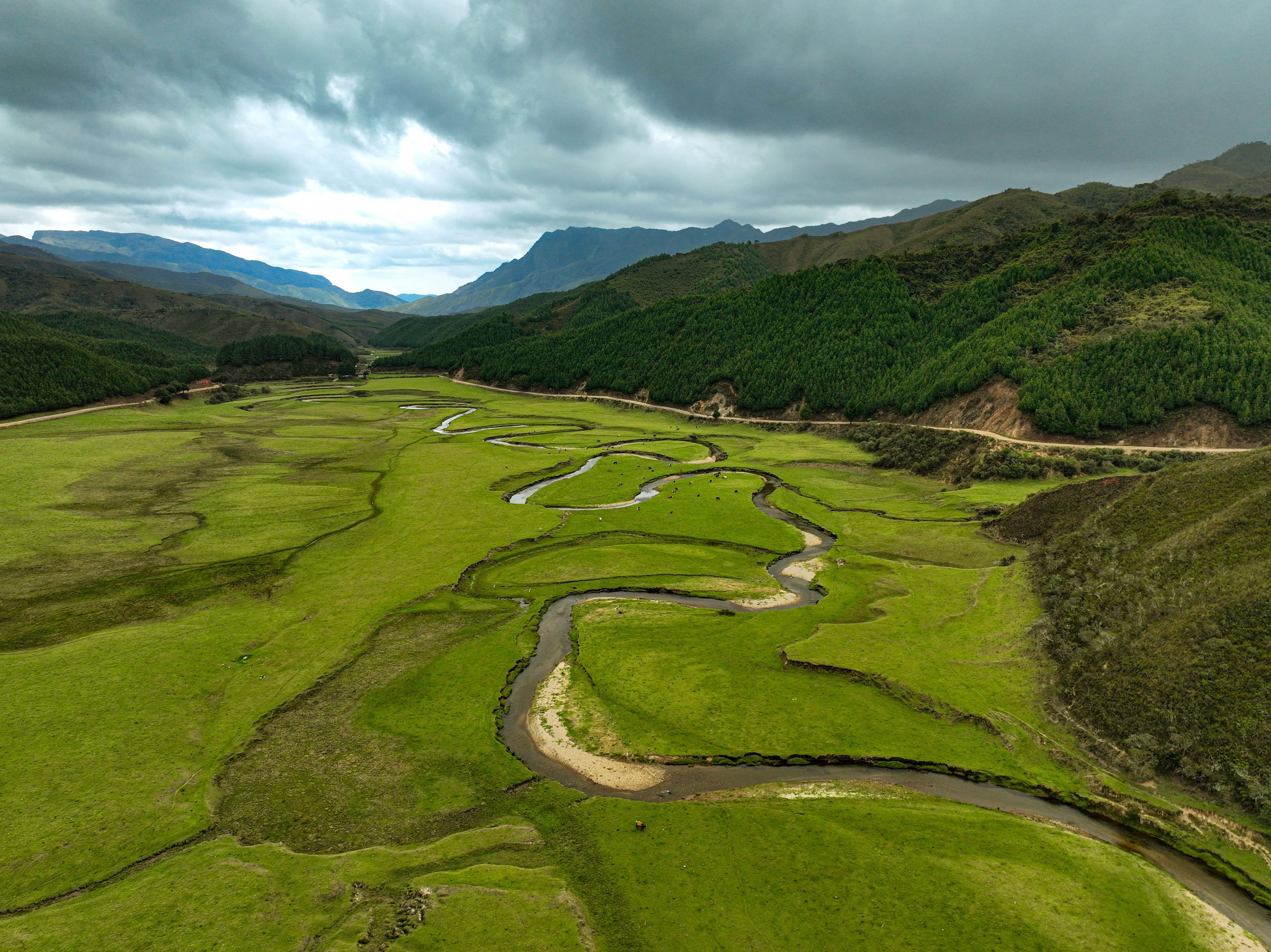 image-2498a3a0ed54b79d6514fcf84e0b5918e89f216a-5280x3956-jpg