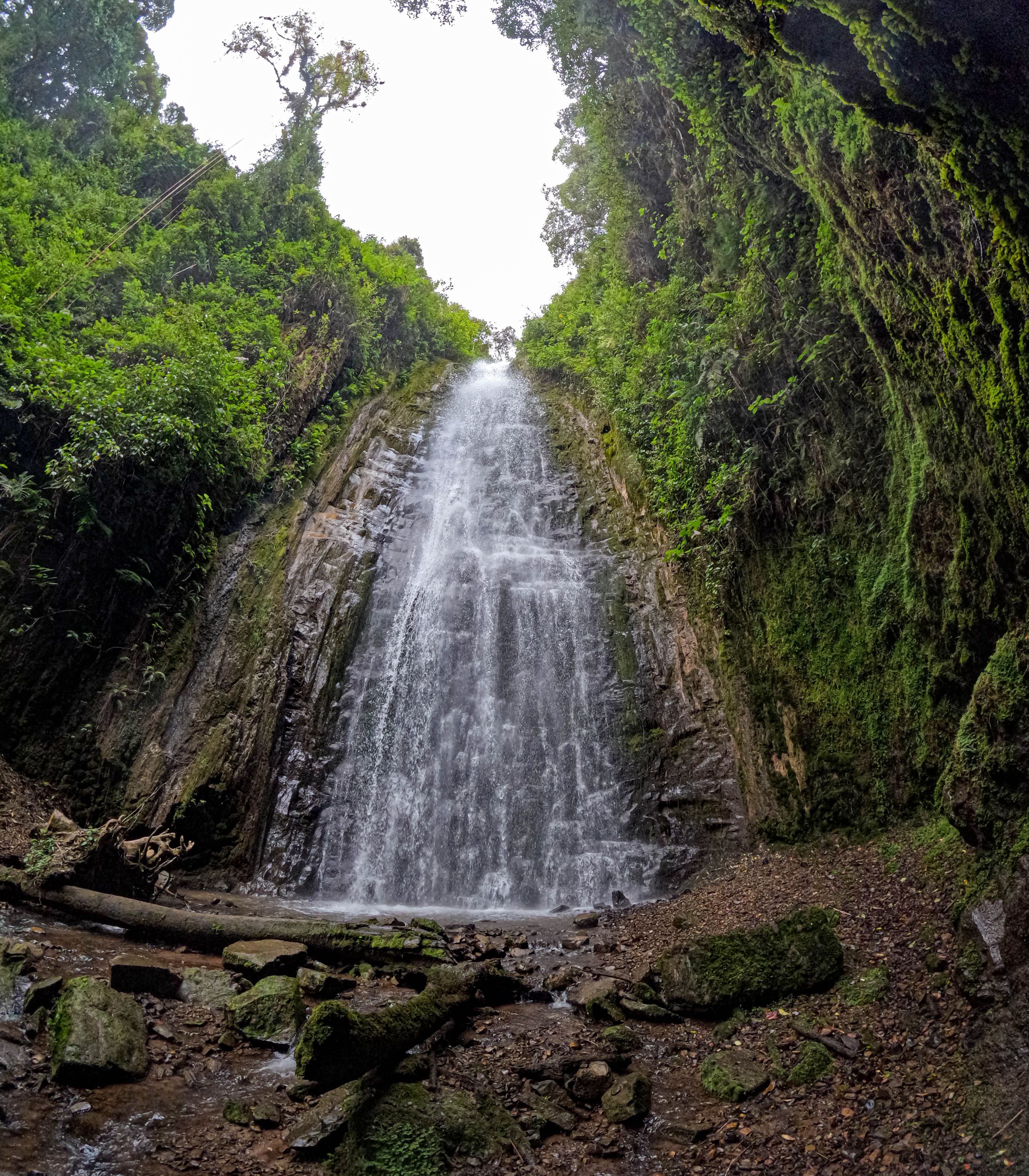 image-2c11b5f9d47c6ea85895c85146e8a3ba82baa285-4872x5568-jpg