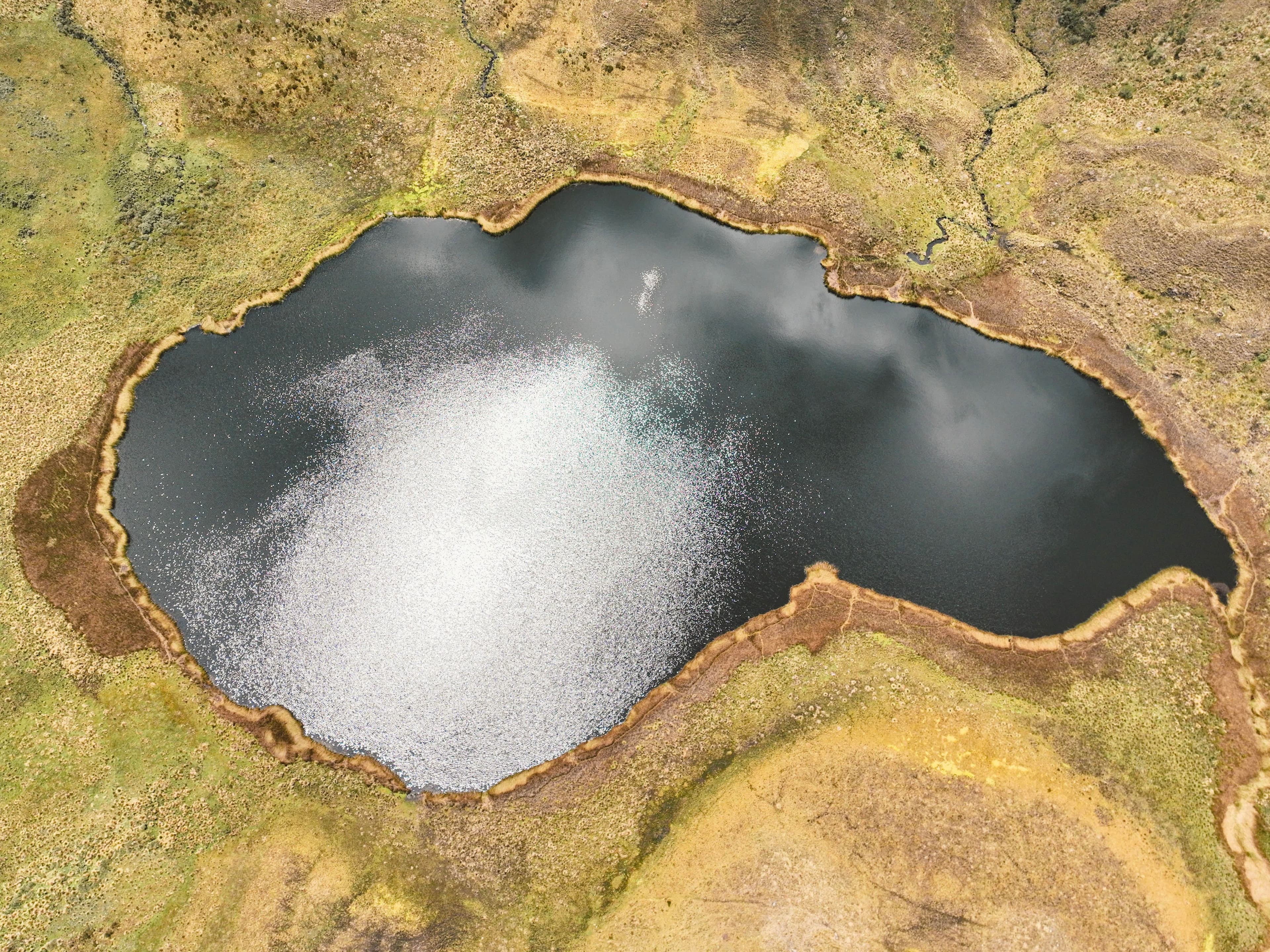 image-78efef8ea8788e7dc8f68baeaa2d1b3d329ba935-4766x3574-jpg