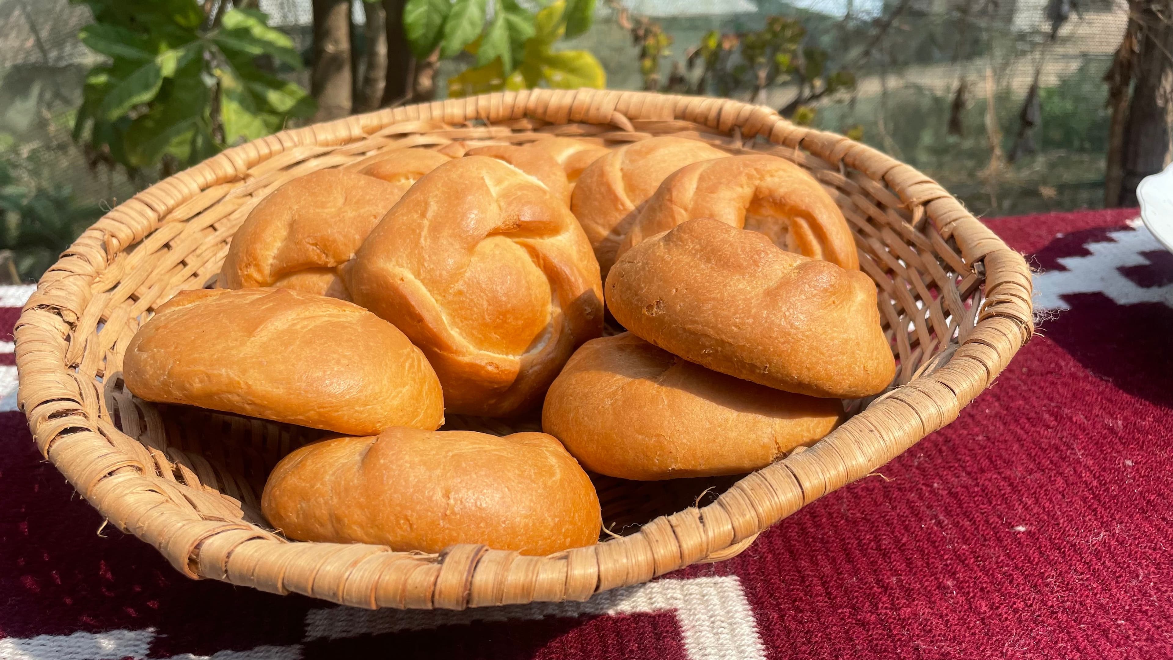 image-eaadac2932c06ef10e92a68600308696c6fa5869-4032x2268-jpg