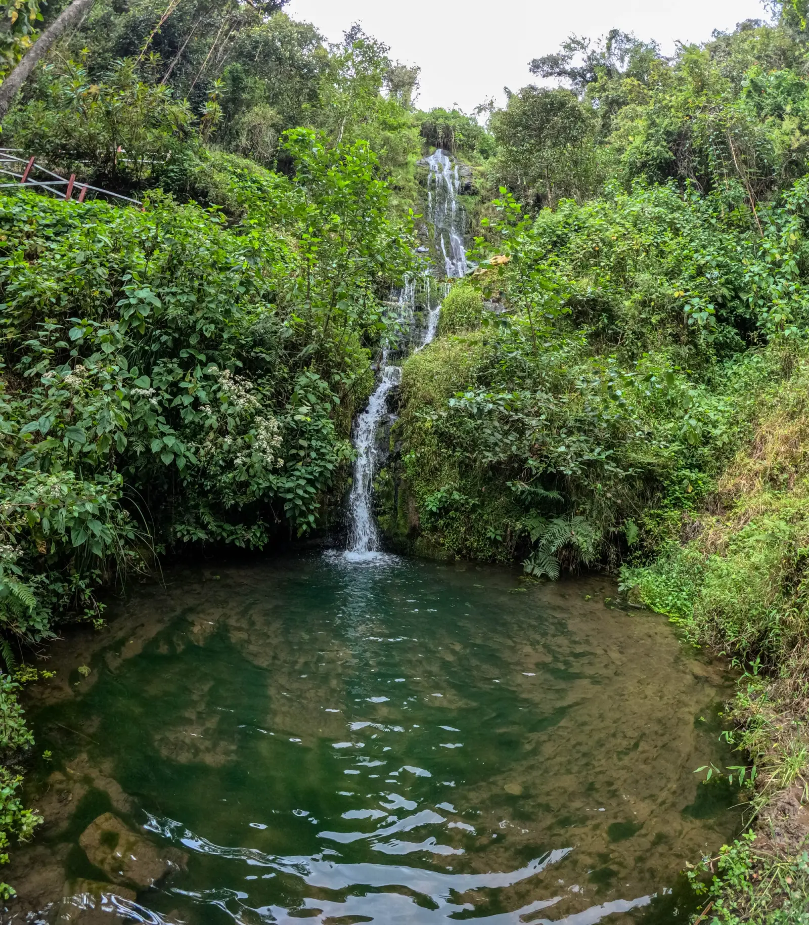Poza al pie de la catarata Cedrocucho rodeada de vegetación