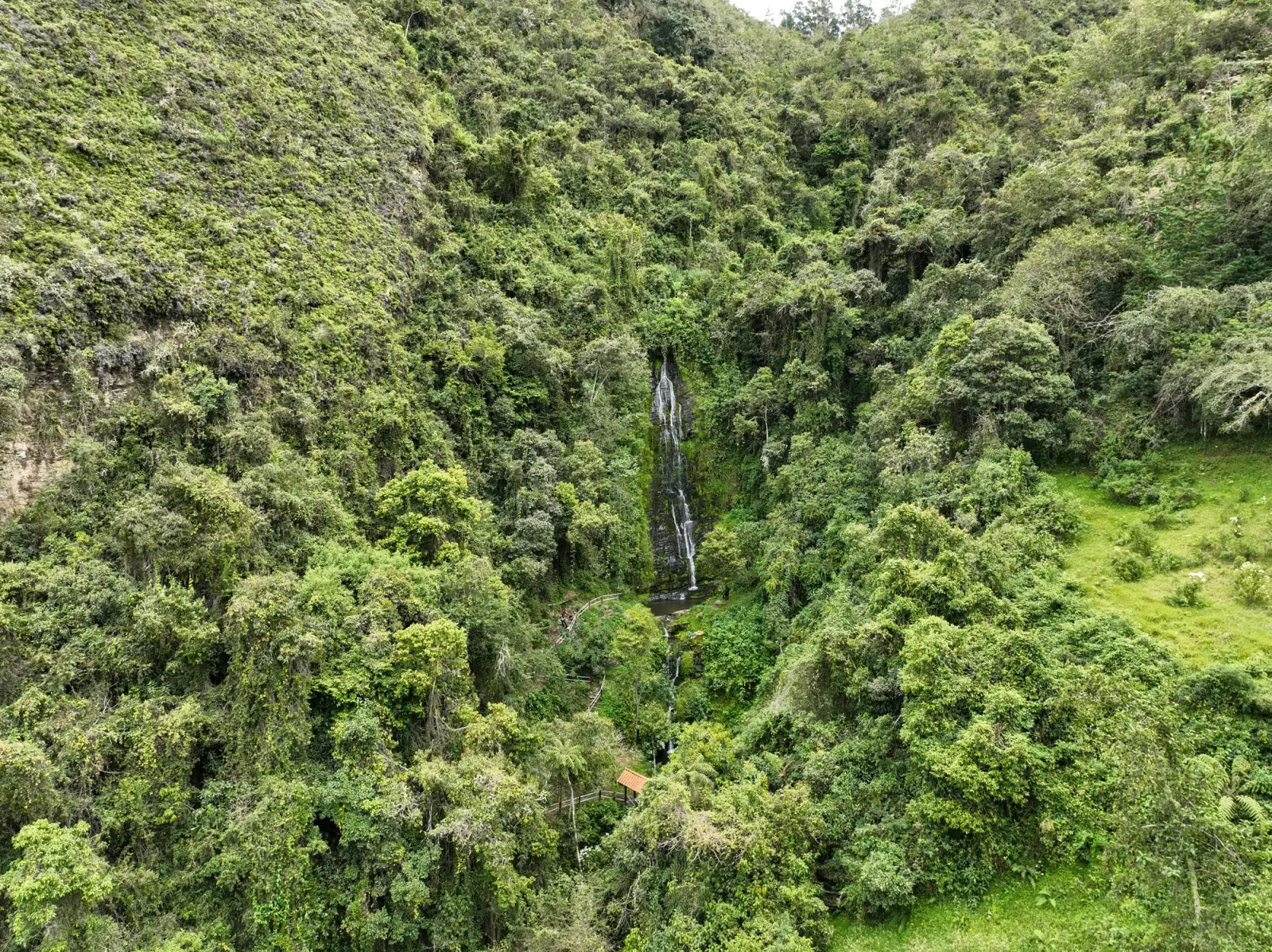 Vista aérea de una catarata en una quebrada cubierta de bosque