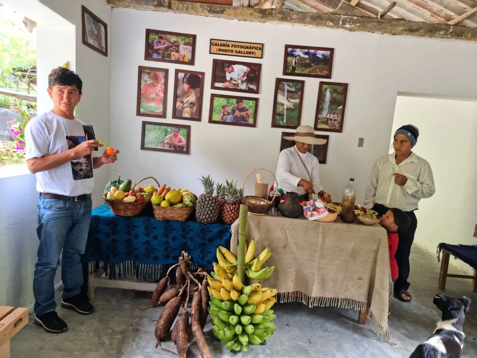 Mesas con piñas, plátanos, yuca y otras frutas en una sala con fotografías enmarcadas