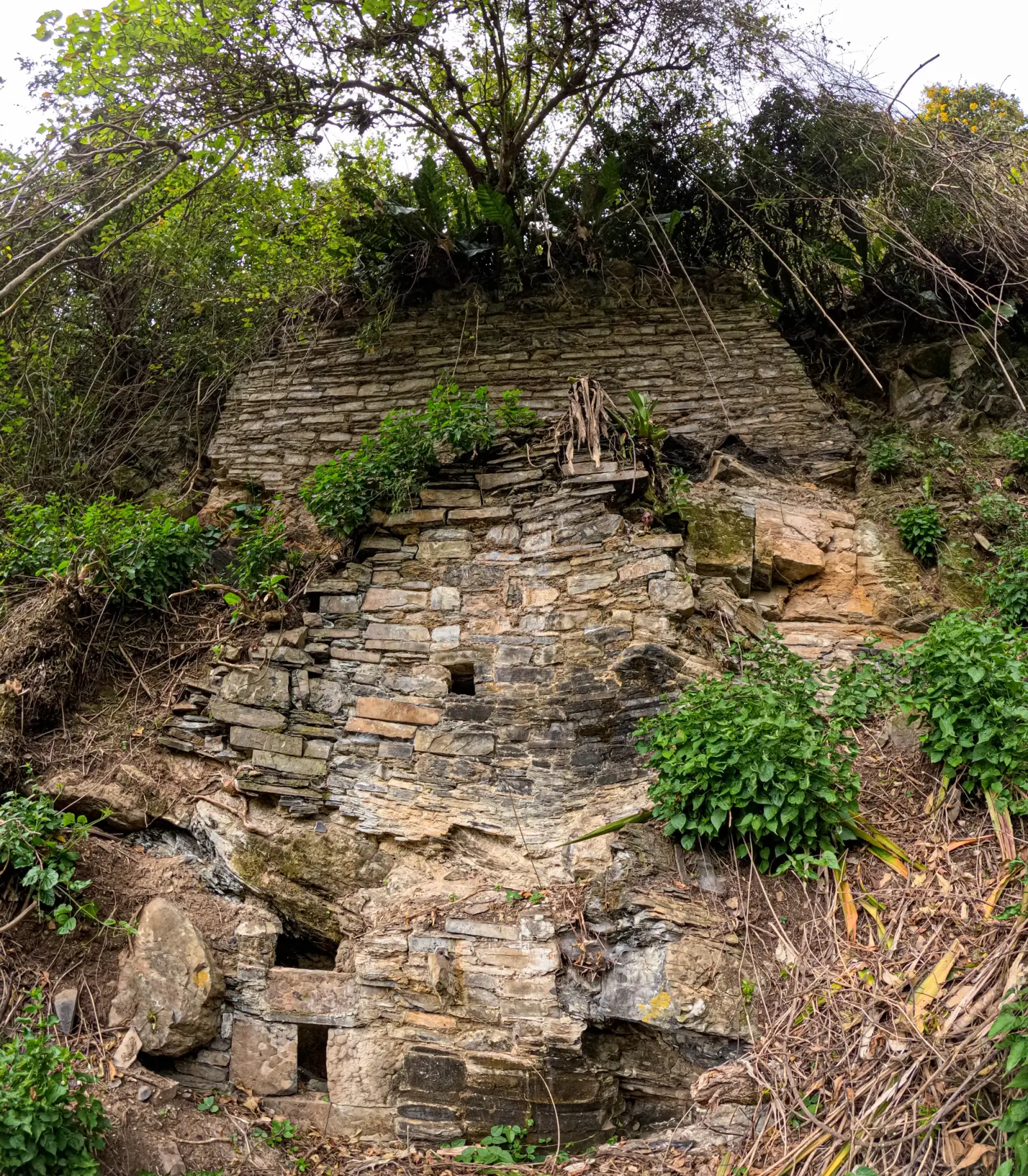 Muro alto de piedra laja levantado sobre la ladera rocosa entre vegetación