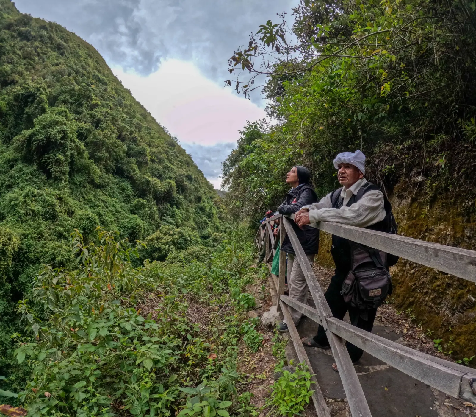 Dos personas observan la quebrada boscosa desde la baranda de madera de un sendero