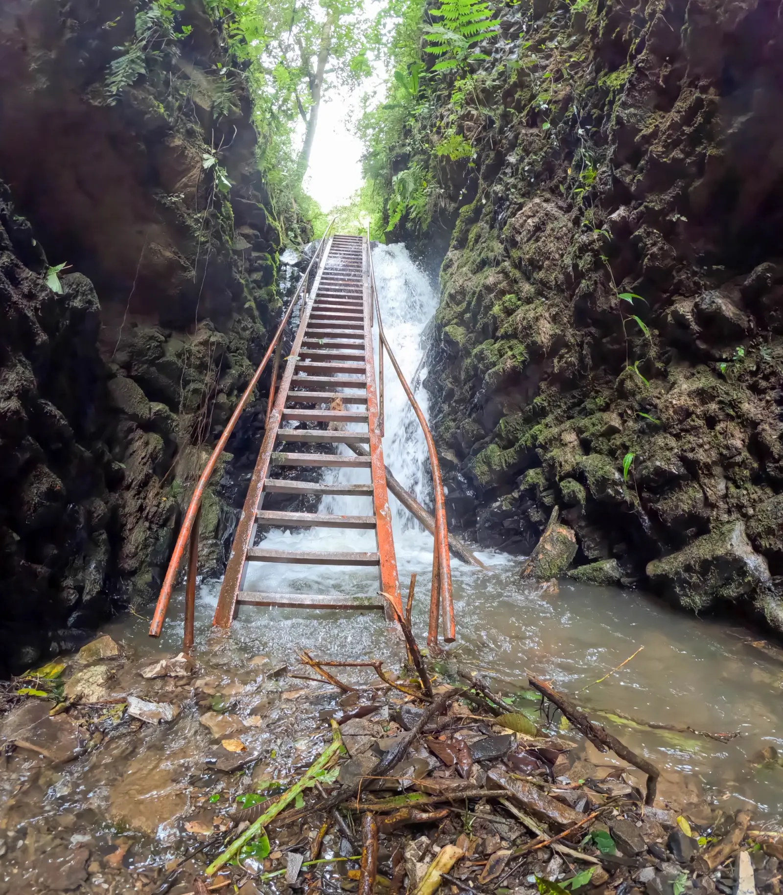Escalera metálica sobre el arroyo junto a una caída de agua en un estrecho rocoso