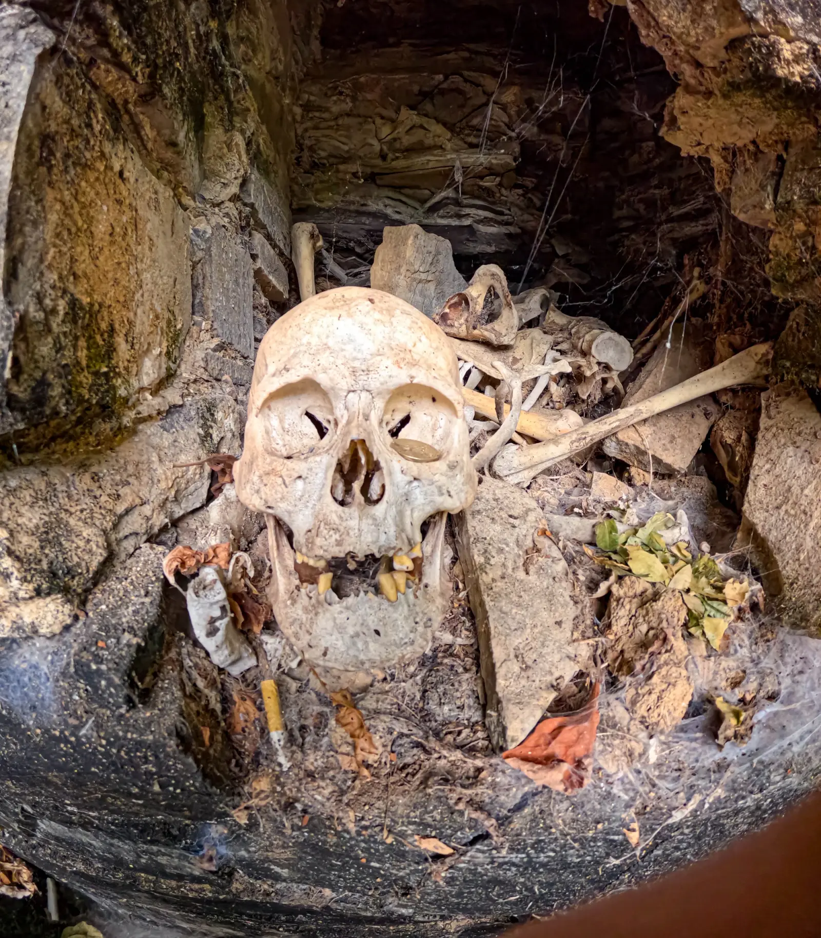 Cráneo y huesos humanos dentro de un nicho funerario de piedra