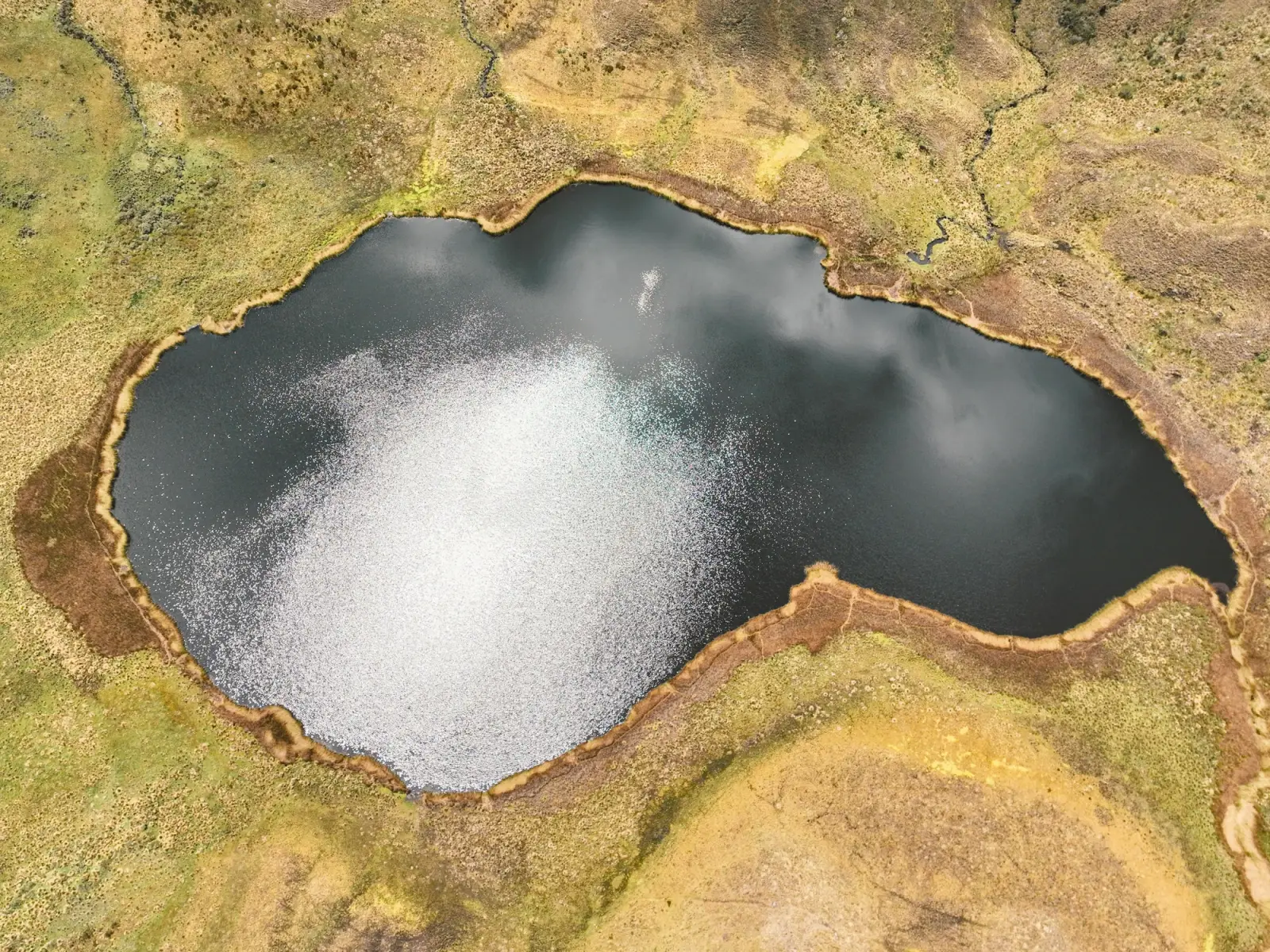Vista aérea de la laguna Cuchacuella rodeada de pajonal y bofedales