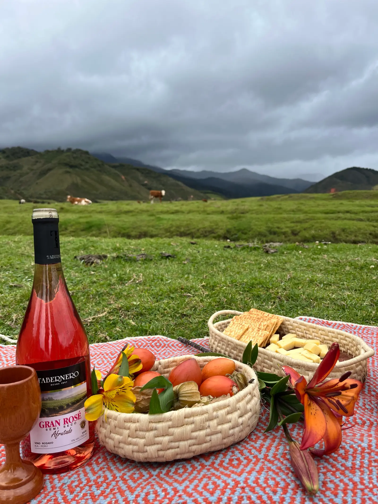 Pícnic con vino, frutas y queso sobre una manta tejida en un valle con vacas