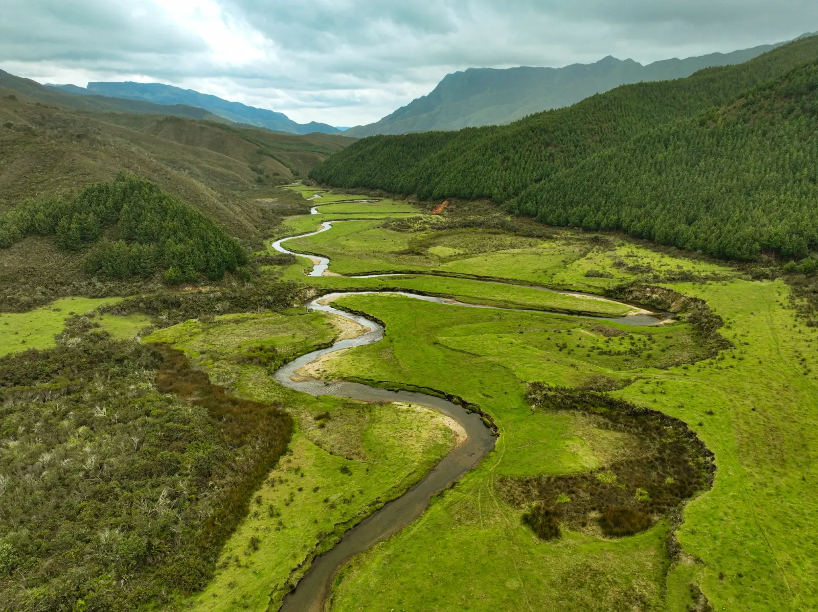 Río que serpentea entre pastizales y laderas con pinos en Huaylla Belén